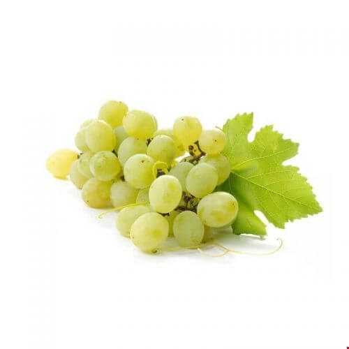 انواع انگور 